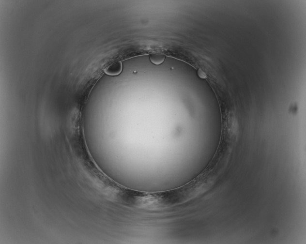 X0000116820511200912181411