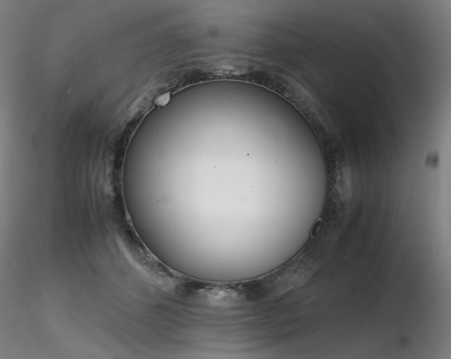 X0000116820512200912181411