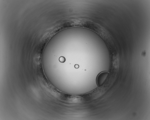X0000116820514200912181411