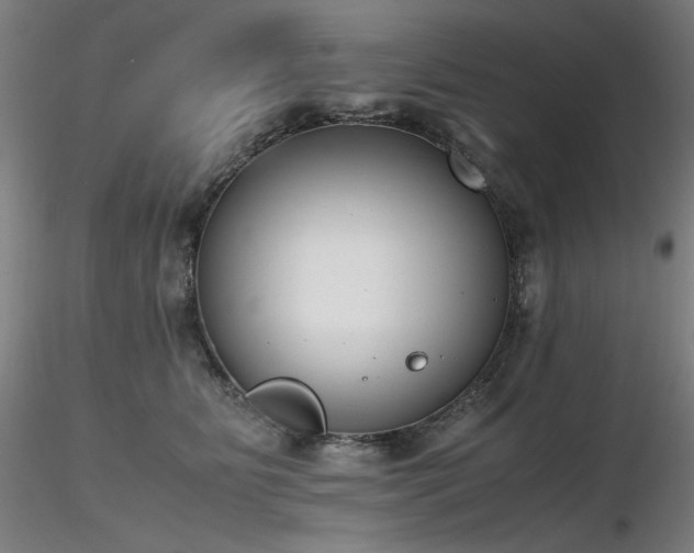 X0000116820515200912181411