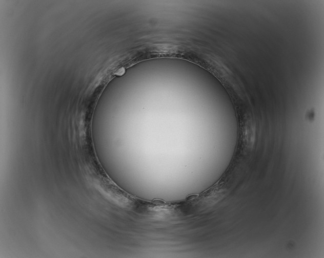 X0000116820516200912181411
