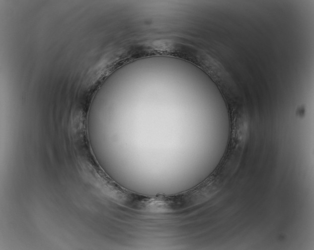 X0000116820518200912181411
