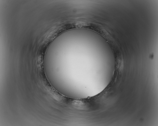 X0000116820519200912181411