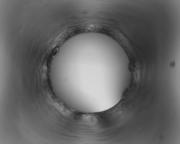 X0000116820520200912181411