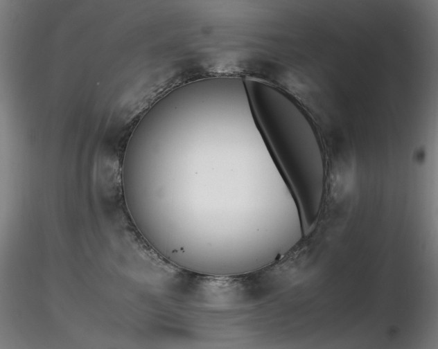 X0000116820521200912181411