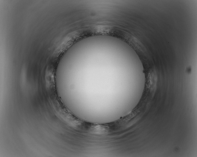 X0000116820522200912181411