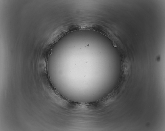 X0000116820523200912181411