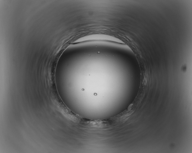 X0000116820524200912181411