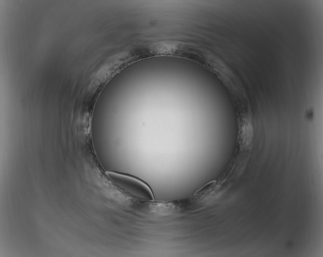 X0000116820525200912181411