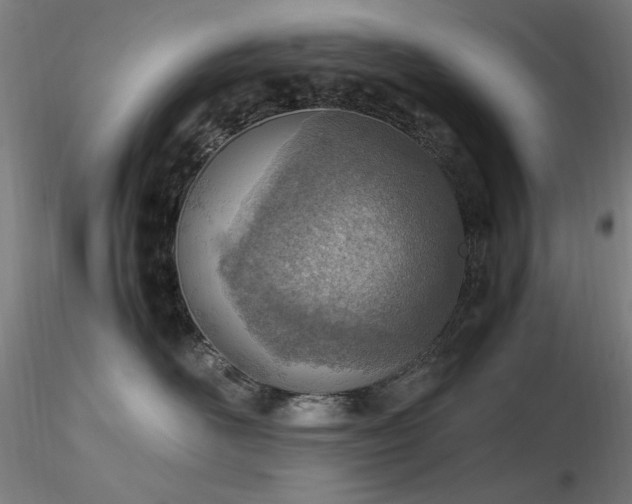 X0000116820526200912181411