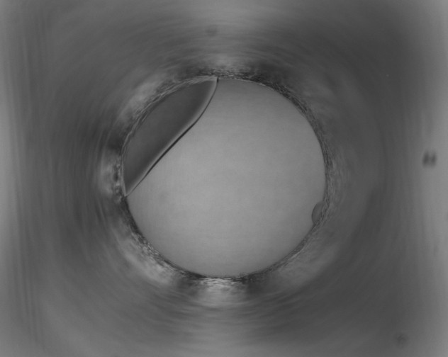 X0000116820528200912181411