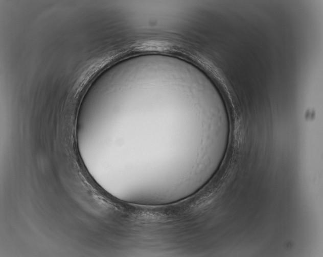 X0000116820529200912181410
