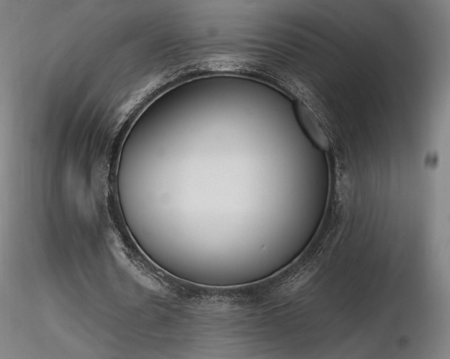 X0000116820530200912181410