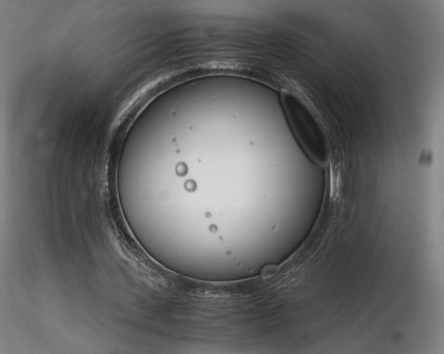 X0000116820531200912181410