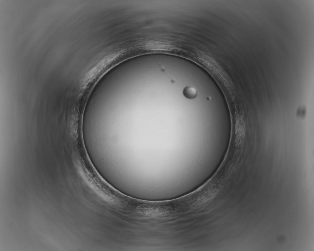 X0000116820533200912181410