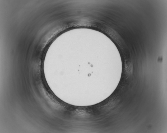 X0000116820534200912181410