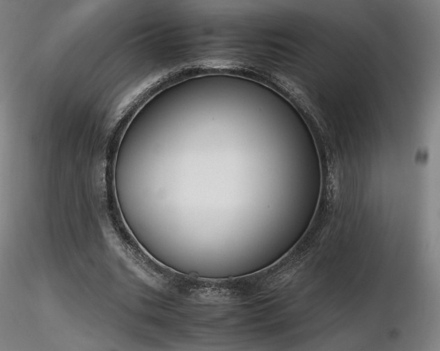 X0000116820535200912181410