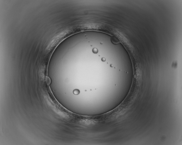X0000116820537200912181410
