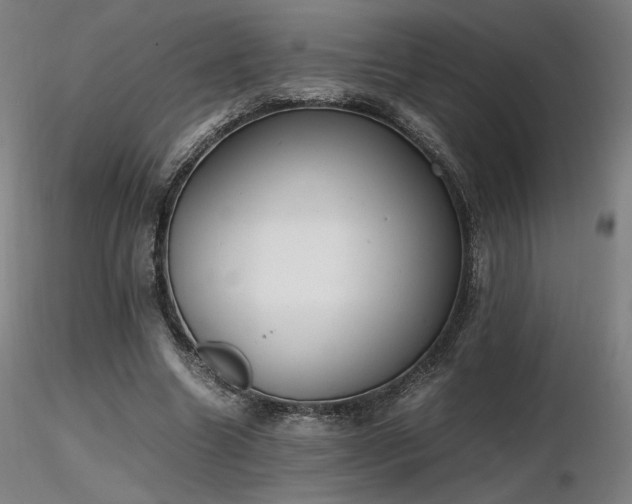 X0000116820538200912181410
