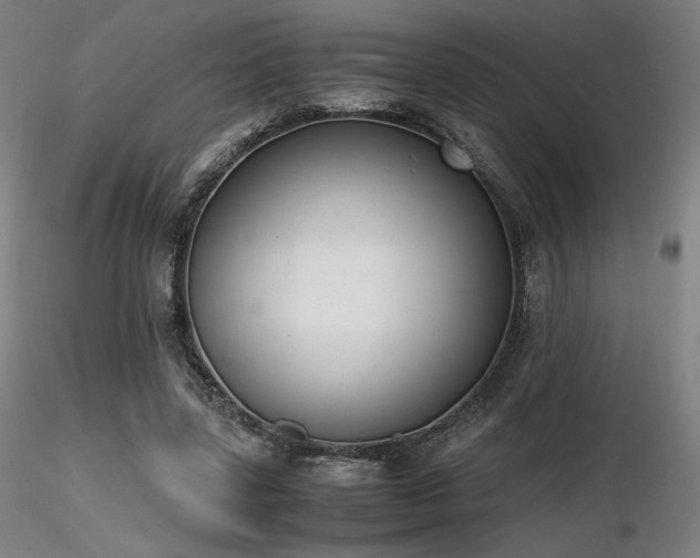 X0000116820539200912181410