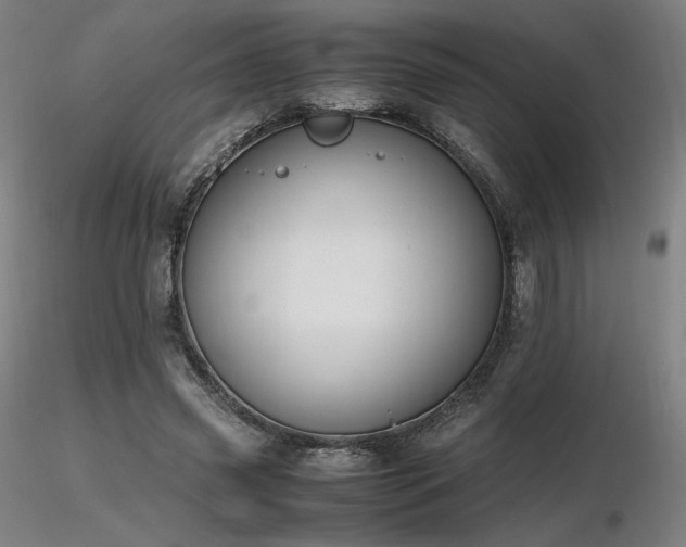 X0000116820541200912181410