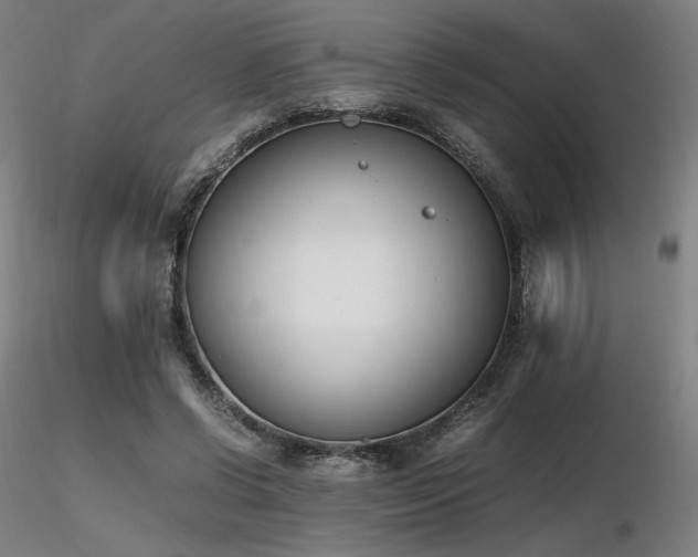 X0000116820542200912181410