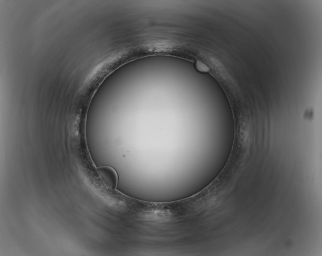 X0000116820543200912181410