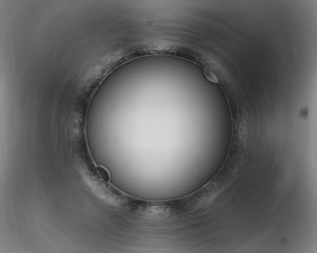 X0000116820546200912181411