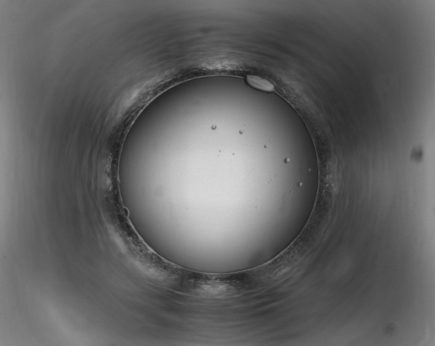 X0000116820547200912181411