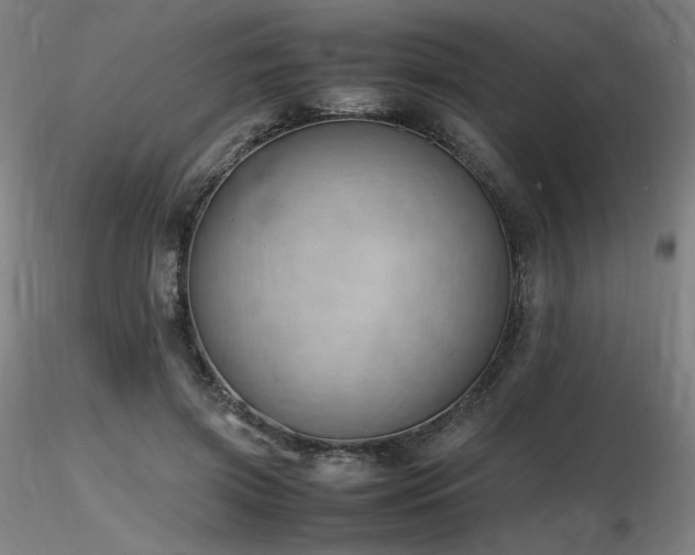 X0000116820549200912181411