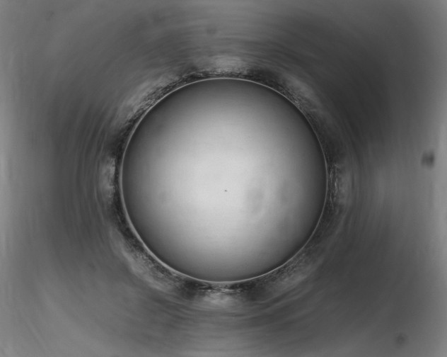 X0000116820550200912181411