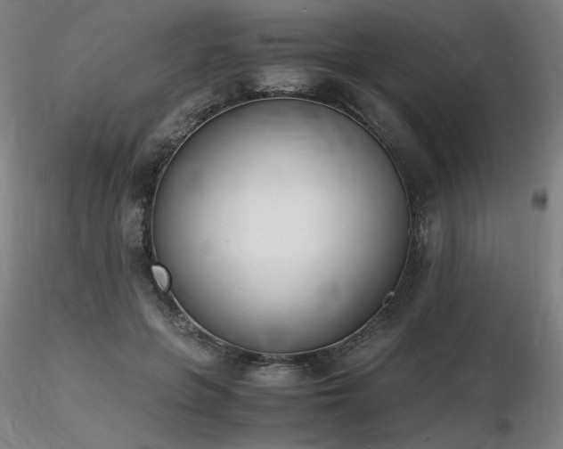X0000116820551200912181411