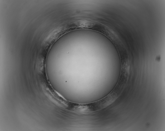 X0000116820554200912181411