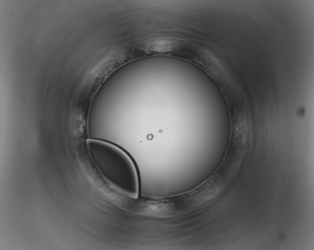 X0000116820555200912181411