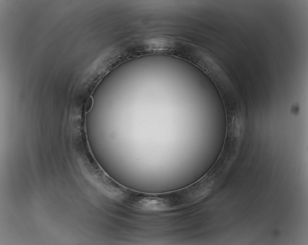 X0000116820557200912181411