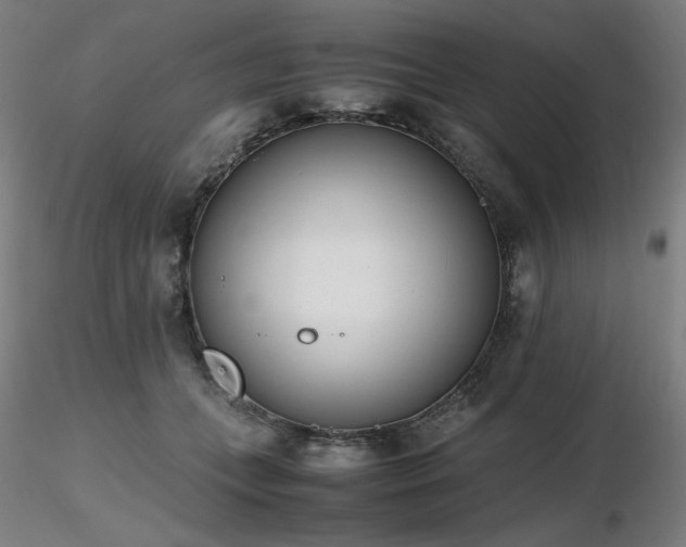 X0000116820559200912181411