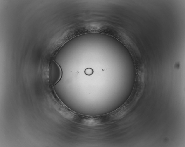 X0000116820561200912181411