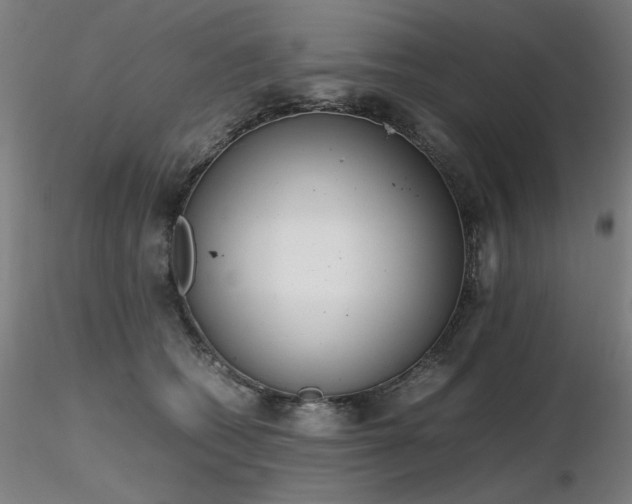 X0000116820562200912181411