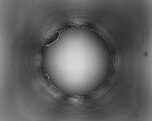 X0000116820563200912181411