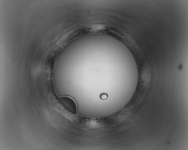 X0000116820565200912181411