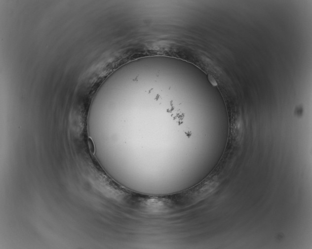 X0000116820566200912181411