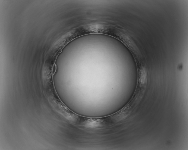 X0000116820569200912181411