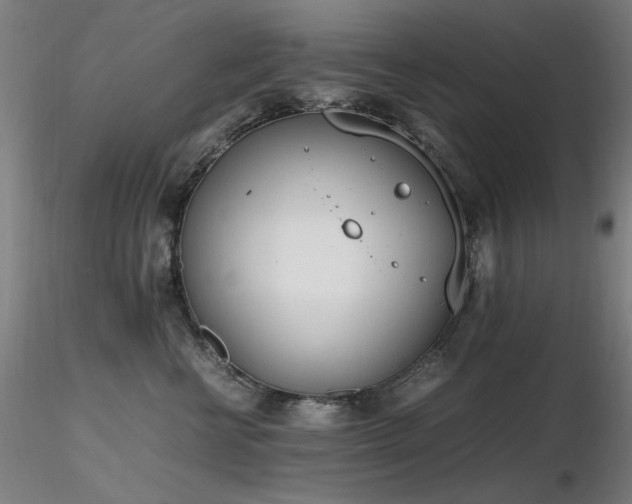X0000116820570200912181411