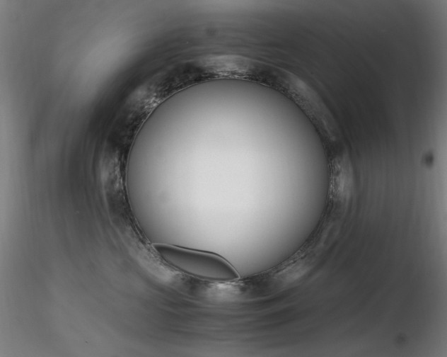 X0000116820573200912181411