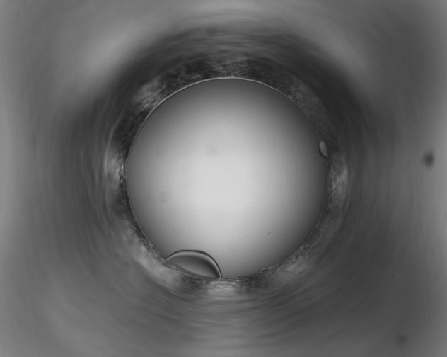X0000116820574200912181411