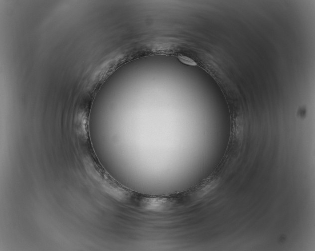 X0000116820575200912181411