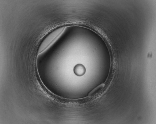 X0000116820577200912181410