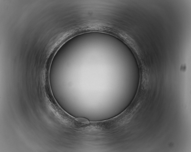 X0000116820578200912181410