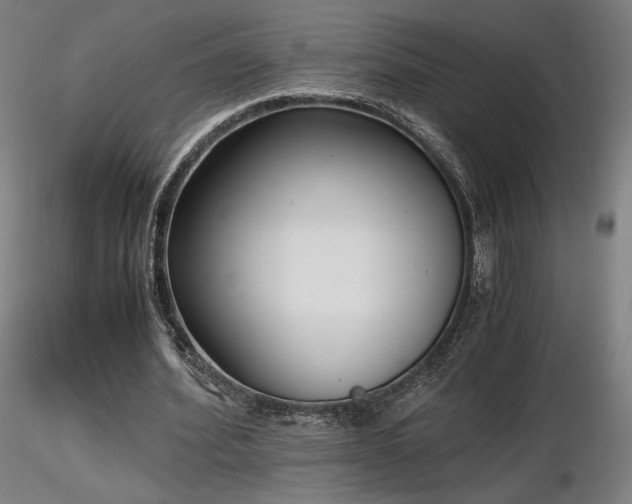 X0000116820580200912181410