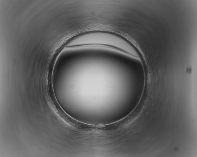 X0000116820581200912181410